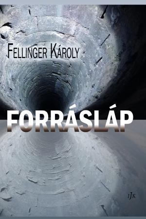 A képhez tartozó alt jellemző üres; Fellinger-Karoly-Forraslap.jpeg a fájlnév